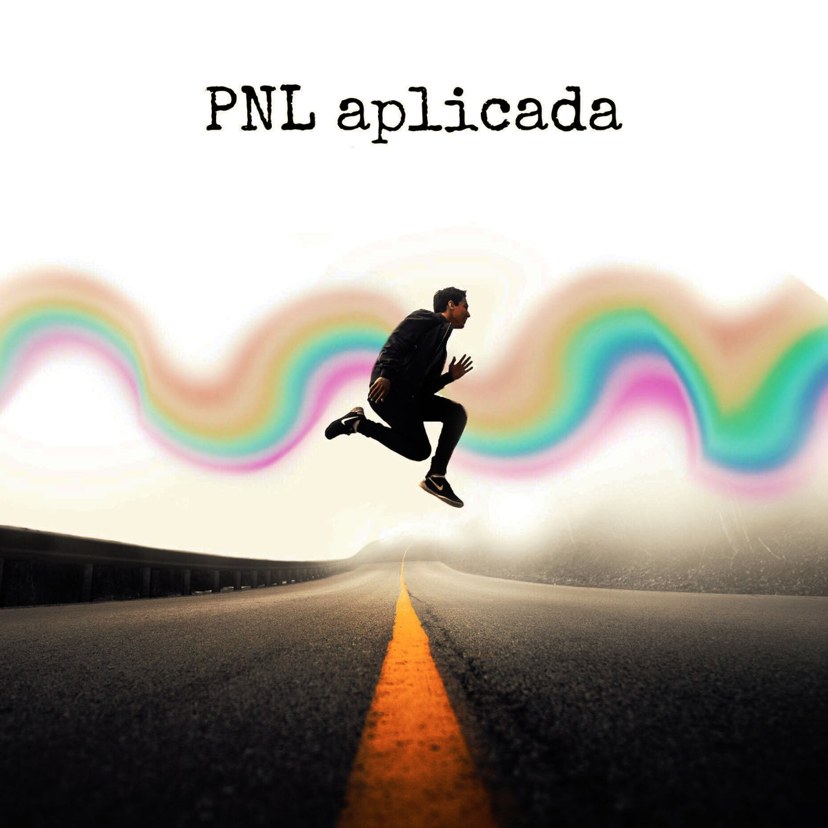 PNL APLICADA Nivel 1