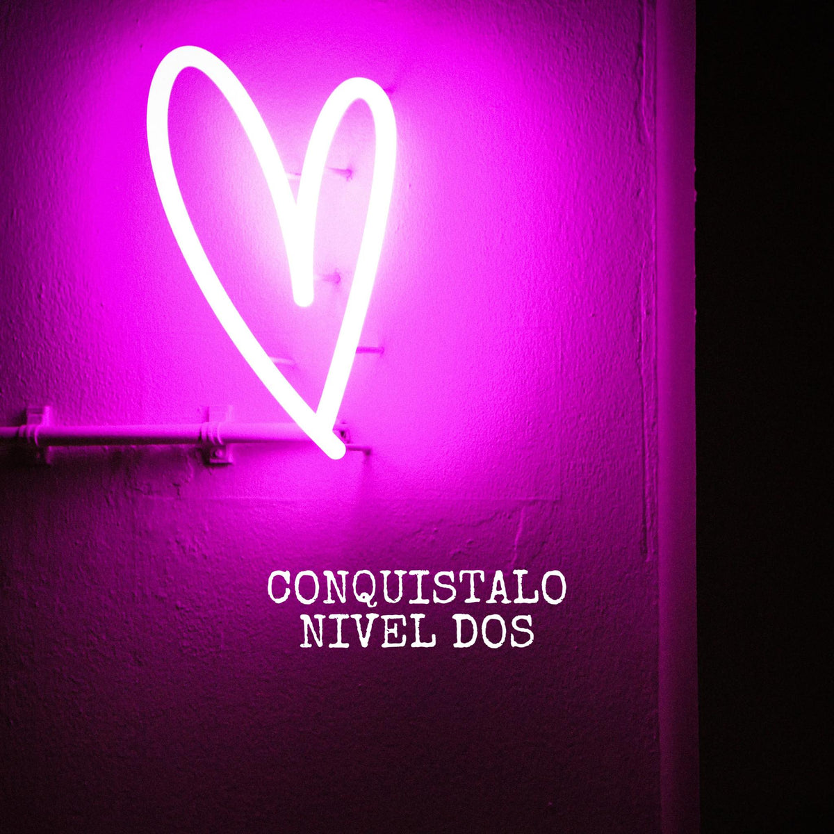 Curso CONQUISTA nivel 2 (Sept 2024)